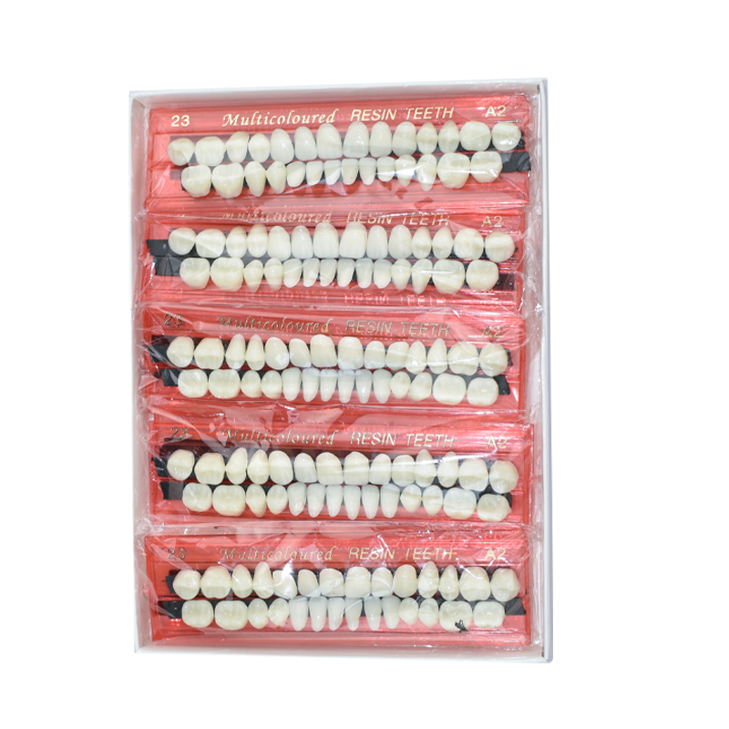 28 Teeth Dental Resin Denture  - đánh giá và giá Teeth Whitening Kit