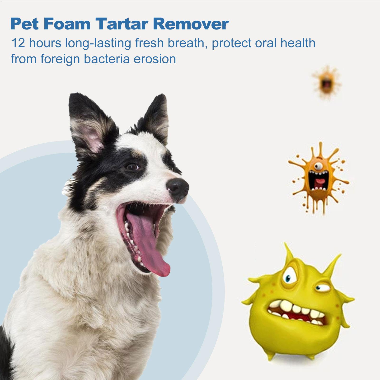 Pet OralTartar Remover Spray D - đánh giá và giá Teeth Whitening Mouthwash