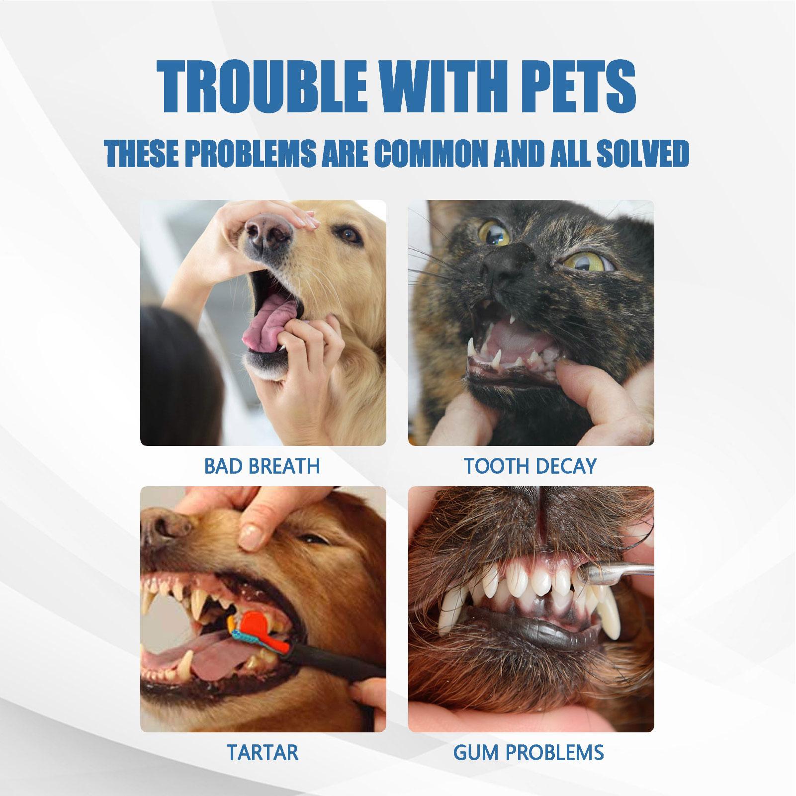 Pet OralTartar Remover Spray D - đánh giá và giá Teeth Whitening Mouthwash